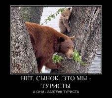 Большая тарелка улыбатора