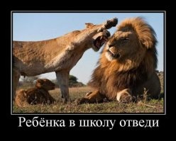 Большая тарелка улыбатора