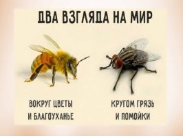 Красота в глазах смотрящего