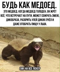 ну да ну да