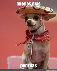 В Перми произошла наглая кража смартфона у сотрудницы ПВЗ