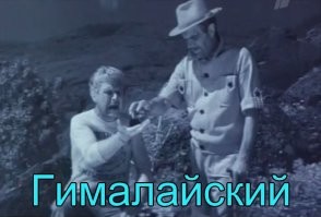 Если медведь любезно делится с тобой шерстью - то он