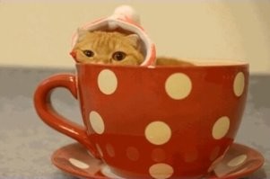 Просто гифки, всякие и&nbsp;разные