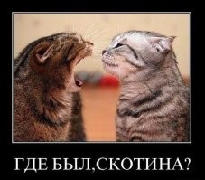 Большая тарелка улыбатора