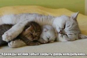Сказка детям на ночь.