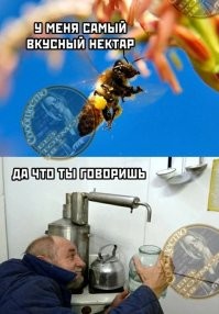 Большая тарелка улыбатора