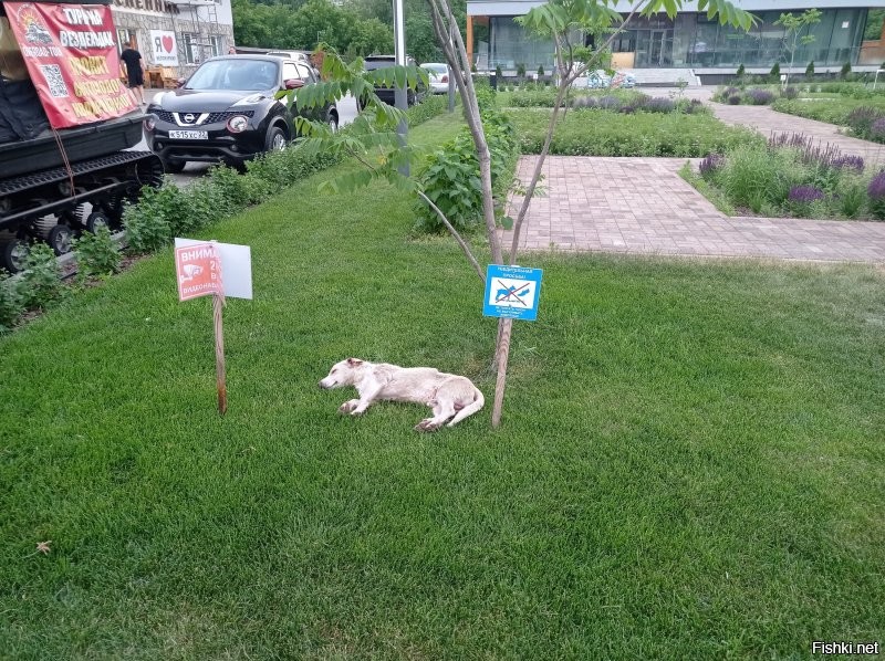 Белокуриха