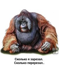 Большая тарелка улыбатора