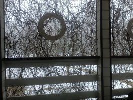 У нас ночью -10 было. Сейчас -6. 
Всё белое. 
Север Подмосковья.