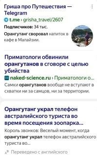 Большая тарелка улыбатора