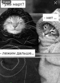 Не ищите здесь смысл. Здесь в основном маразм