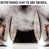 Как&nbsp;поляк крота повстречал