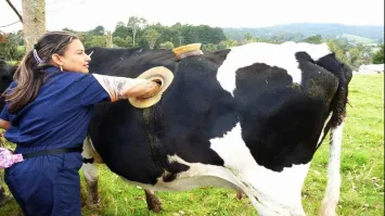 Никогда! Это как коровы на клеверном поле...Только несварение и смерть!