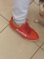 В этом прикол