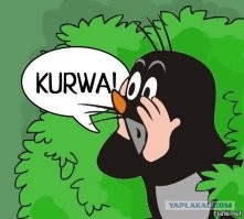 Как&nbsp;поляк крота повстречал