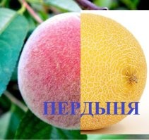 В межсезонье...