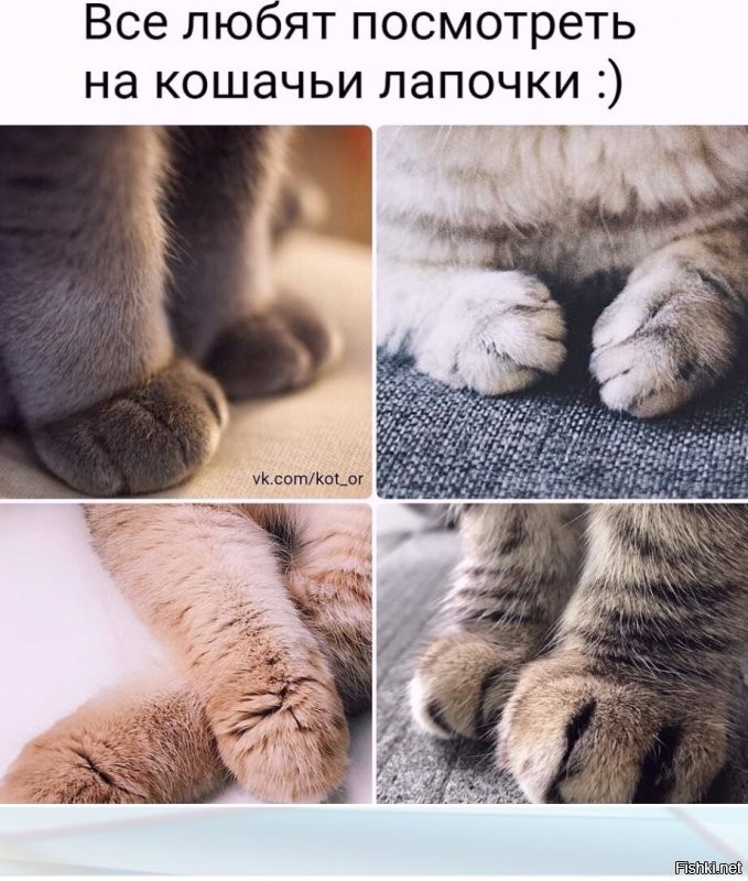 Солянка от 10.02.2025