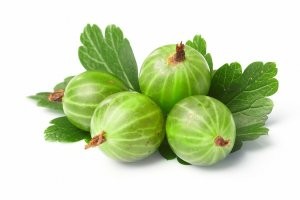 Ну крУжовник в какой-то степени тож маленький арбуз
