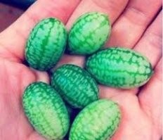Они не шарообразные.
