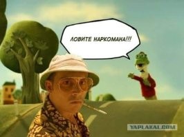 В Ленобласти лосиха ударилась во все тяжкие с выхлопной трубой автомобиля