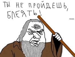 Схватка кошки с чайкой за рыбу
