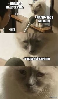Скрины из соцсетей