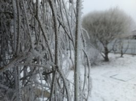 -7
