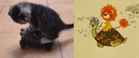 Просто гифки, всякие и&nbsp;разные