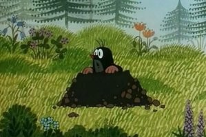 ответ крота:
«Ублюдок, мать твою, а ну, иди сюда, говно собачье, а? Что, сдуру решил ко мне лезть? Ты, засранец вонючий, мать твою, а? Ну, иди сюда, попробуй меня отпердолить– я тебя сам отпердолю, ублюдок, онанист чертов, будь ты проклят! Иди, идиот, пердолить тебя и всю твою семью! Говно собачье, жлоб вонючий, дерьмо, сука, падла! Иди сюда, мерзавец, негодяй, гад! Иди сюда, ты, говно, жопа!»