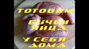 Бык устроил неприятный сюрприз псу