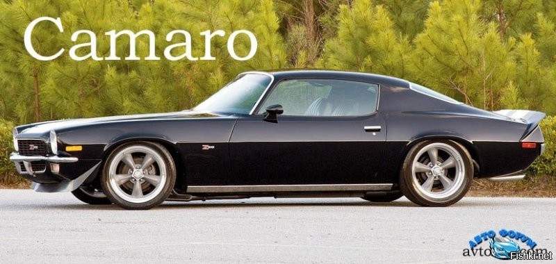 Во времена Элвиса делались самые крутейшие тачки по дизайну. 
Мне очень нравятся эти надежные и радующие глаз автомобили 50 - 60 - 70 - х годов.
Вот прям сразу видно что люди делали на долгое пользование, метала не жалели, понтов тоже. Золотой век автомобилестроения. Не то что нынешнее племя...
Согласен в машинах начиная с 90-х комфорта гораздо больше, но вот не то..