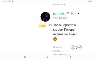 В листовках партии Германии нашли «пасхалку»