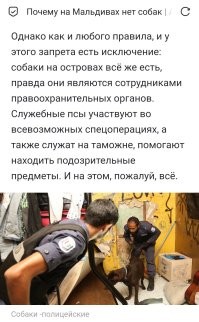 Не совсем верно.