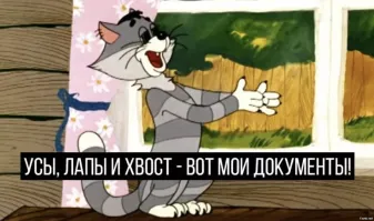 В Гонконге домашним животным выдают удостоверение личности