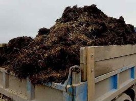 Гнать 130 км/ч в тумане - что могло пойти не так?