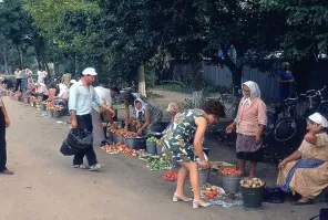 очень похоже на рынок на станции Малаховка, Казанского направления, сам там бывал не раз, сначала продукты шли, далее одежда, обувь и т.д.