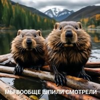 15 фотографий, которые доказывают, что молния — это великолепная, но очень страшная штука