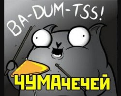 «Чумовой капитал» ввели в Ненецком АО для молодых семей оленеводов