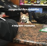 Это его сменщик?