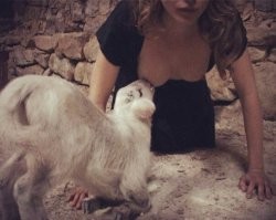 Как крепостную заставили кормить грудью щенка