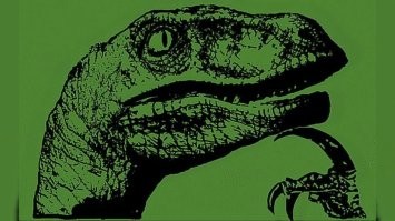 Интересно, жрецы с Олимпа обиделись на имя кошки- Афина?