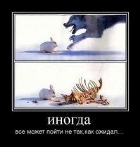 Весёлые шутки-картинки