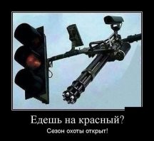 2024 году выписали 237 миллионов штрафов ПДД