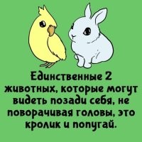 Дык хамелеон, вроде, тоже может.