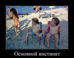 Будущие стервы