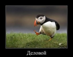 Всё вразнобой&nbsp;