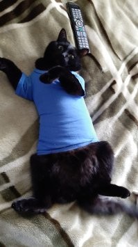аааааасуждает_)