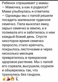 Не ищите здесь смысл. Здесь в основном маразм