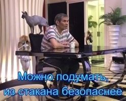 Экосистема обычной лужи во дворе. Целый мир, о котором мы не подозревали