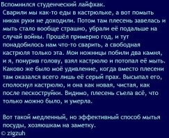 Экосистема обычной лужи во дворе. Целый мир, о котором мы не подозревали